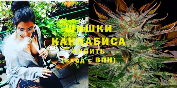 СК Горнозаводск
